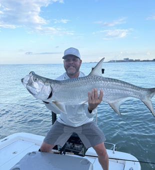 Indian Shores: where the Tarpon always bite!